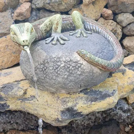 Maracuya